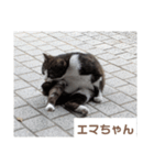 猫ちゃんたち休憩ですよ〜（個別スタンプ：15）
