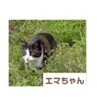 猫ちゃんたち休憩ですよ〜（個別スタンプ：16）