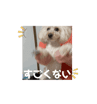 動くメル⑨（個別スタンプ：1）