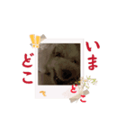 動くメル⑨（個別スタンプ：4）