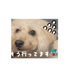 動くメル⑨（個別スタンプ：8）