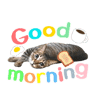 猫のすたんぷ。。。6（個別スタンプ：1）