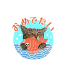 猫のすたんぷ。。。6（個別スタンプ：22）