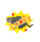 猫のすたんぷ。。。6（個別スタンプ：23）