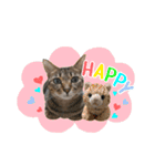 猫のすたんぷ。。。6（個別スタンプ：24）