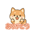 可愛い柴犬ずっと使える日常スタンプ（個別スタンプ：1）
