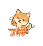 可愛い柴犬ずっと使える日常スタンプ（個別スタンプ：2）