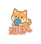 可愛い柴犬ずっと使える日常スタンプ（個別スタンプ：3）