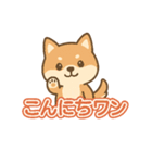 可愛い柴犬ずっと使える日常スタンプ（個別スタンプ：6）