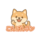可愛い柴犬ずっと使える日常スタンプ（個別スタンプ：7）