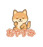 可愛い柴犬ずっと使える日常スタンプ（個別スタンプ：8）