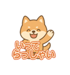 可愛い柴犬ずっと使える日常スタンプ（個別スタンプ：10）