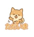 可愛い柴犬ずっと使える日常スタンプ（個別スタンプ：11）