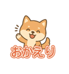 可愛い柴犬ずっと使える日常スタンプ（個別スタンプ：12）