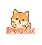 可愛い柴犬ずっと使える日常スタンプ（個別スタンプ：13）