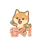 可愛い柴犬ずっと使える日常スタンプ（個別スタンプ：16）