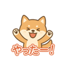 可愛い柴犬ずっと使える日常スタンプ（個別スタンプ：17）