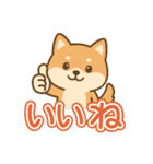 可愛い柴犬ずっと使える日常スタンプ（個別スタンプ：18）