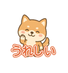可愛い柴犬ずっと使える日常スタンプ（個別スタンプ：19）
