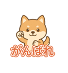 可愛い柴犬ずっと使える日常スタンプ（個別スタンプ：23）