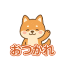 可愛い柴犬ずっと使える日常スタンプ（個別スタンプ：24）