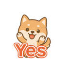 可愛い柴犬ずっと使える日常スタンプ（個別スタンプ：25）