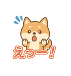 可愛い柴犬ずっと使える日常スタンプ（個別スタンプ：29）