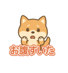 可愛い柴犬ずっと使える日常スタンプ（個別スタンプ：30）