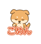 可愛い柴犬ずっと使える日常スタンプ（個別スタンプ：31）