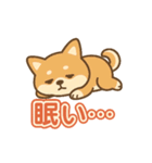 可愛い柴犬ずっと使える日常スタンプ（個別スタンプ：32）