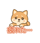 可愛い柴犬ずっと使える日常スタンプ（個別スタンプ：33）