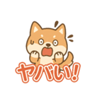 可愛い柴犬ずっと使える日常スタンプ（個別スタンプ：35）