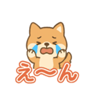 可愛い柴犬ずっと使える日常スタンプ（個別スタンプ：36）