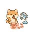 可愛い柴犬ずっと使える日常スタンプ（個別スタンプ：37）