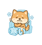 可愛い柴犬ずっと使える日常スタンプ（個別スタンプ：38）
