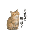 しれっというねこ（個別スタンプ：1）
