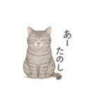 しれっというねこ（個別スタンプ：6）