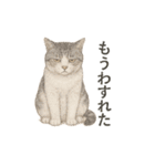 しれっというねこ（個別スタンプ：10）