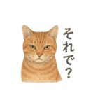 しれっというねこ（個別スタンプ：14）