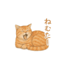 しれっというねこ（個別スタンプ：16）