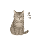 しれっというねこ（個別スタンプ：17）