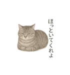 しれっというねこ（個別スタンプ：21）