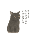 しれっというねこ（個別スタンプ：25）