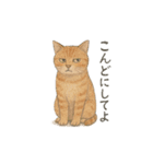 しれっというねこ（個別スタンプ：26）