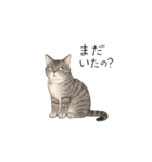 しれっというねこ（個別スタンプ：32）