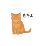 しれっというねこ（個別スタンプ：33）