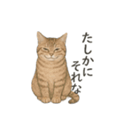 しれっというねこ（個別スタンプ：39）