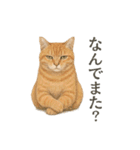 しれっというねこ（個別スタンプ：40）