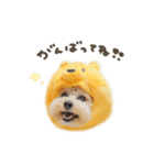 まろ8（個別スタンプ：8）