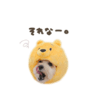 まろ8（個別スタンプ：19）
